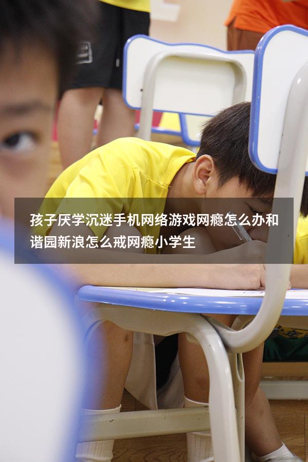 孩子厌学沉迷手机网络游戏网瘾怎么办和谐园新浪（怎么戒网瘾小学生）