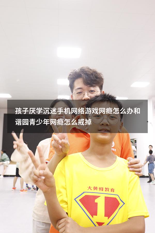 孩子厌学沉迷手机网络游戏网瘾怎么办和谐园（青少年网瘾怎么戒掉）