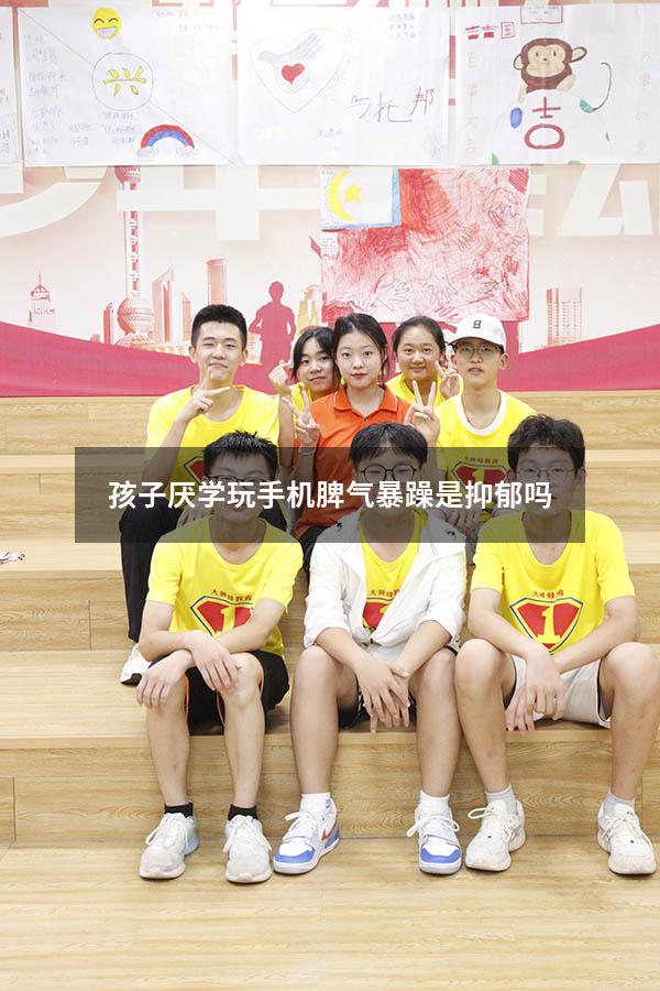 孩子厌学玩手机脾气暴躁是抑郁吗