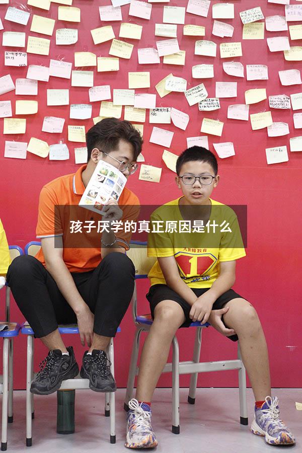 孩子厌学的真正原因是什么