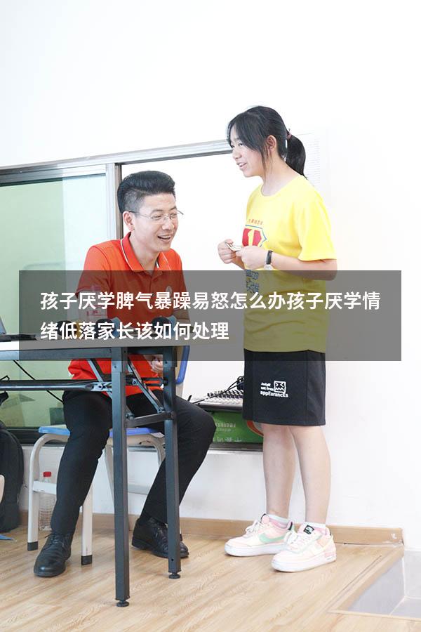 孩子厌学脾气暴躁易怒怎么办（孩子厌学情绪低落家长该如何处理）