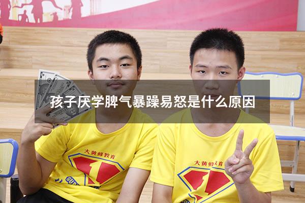 孩子厌学脾气暴躁易怒是什么原因