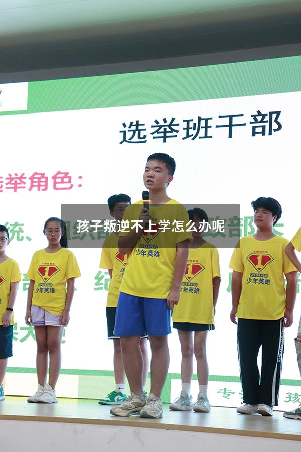 孩子叛逆不上学怎么办呢