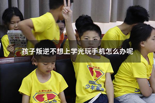 孩子叛逆不想上学光玩手机怎么办呢