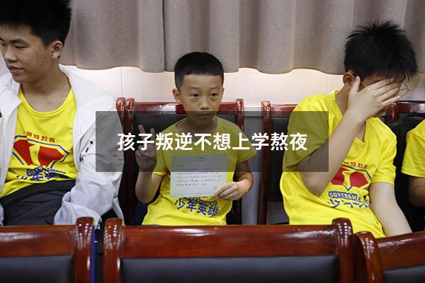 孩子叛逆不想上学熬夜8379