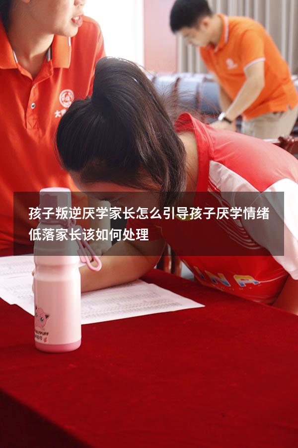 孩子叛逆厌学家长怎么引导（孩子厌学情绪低落家长该如何处理）