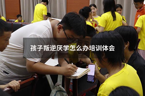 孩子叛逆厌学怎么办培训体会