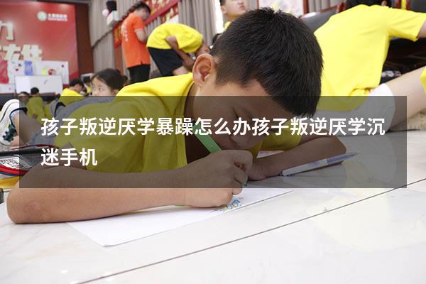 孩子叛逆厌学暴躁怎么办（孩子叛逆厌学沉迷手机）