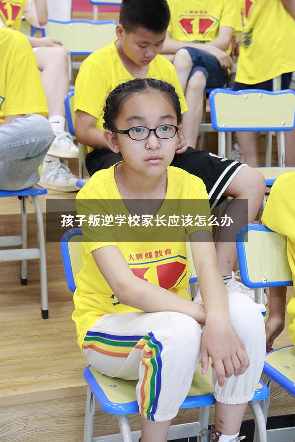孩子叛逆学校家长应该怎么办