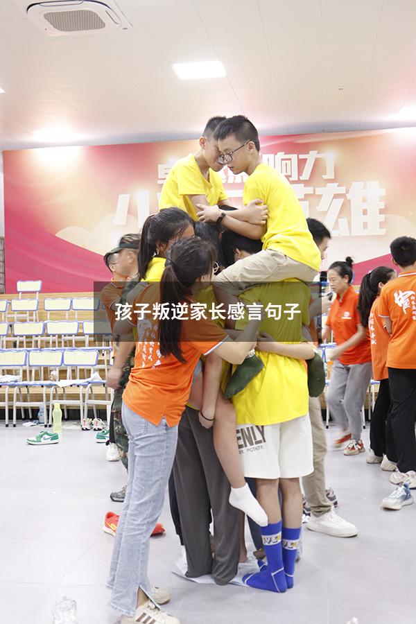 孩子叛逆家长感言句子