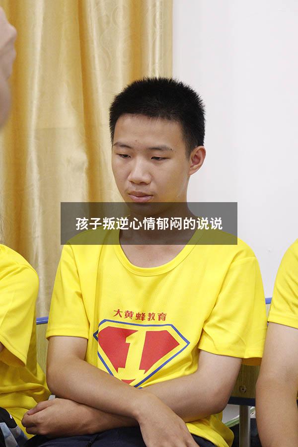 孩子叛逆心情郁闷的说说
