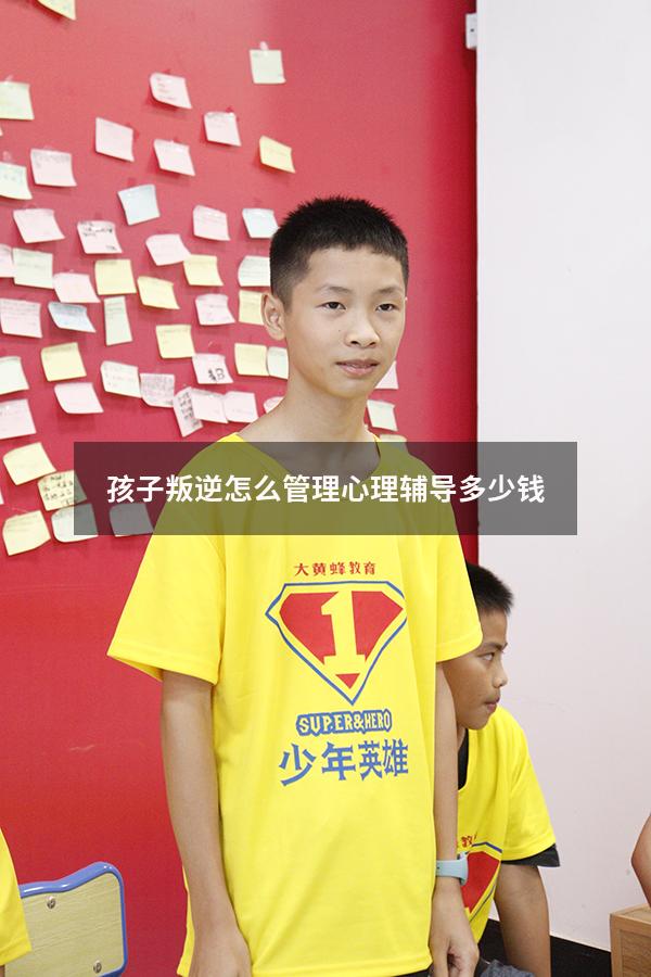 孩子叛逆怎么管理心理辅导多少钱