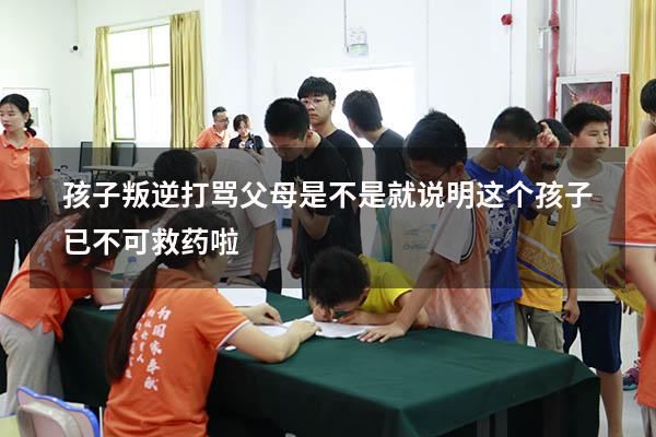 孩子叛逆打骂父母是不是就说明这个孩子已不可救药啦（17岁叛逆打骂父母怎么办）