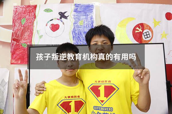 孩子叛逆教育机构真的有用吗