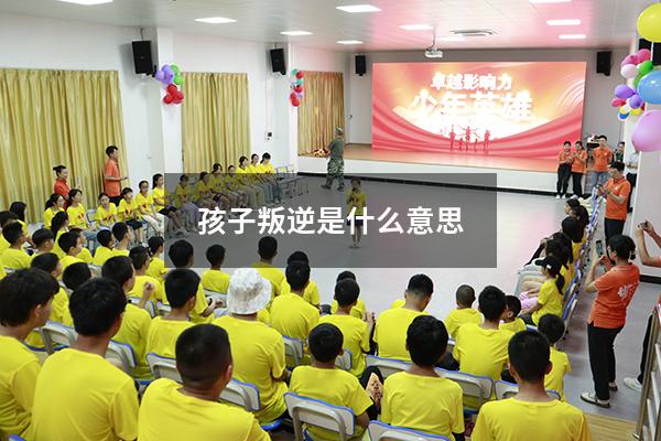 孩子叛逆是什么意思