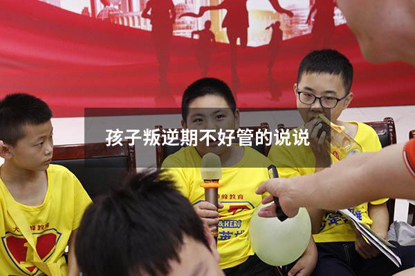 孩子叛逆期不好管的说说