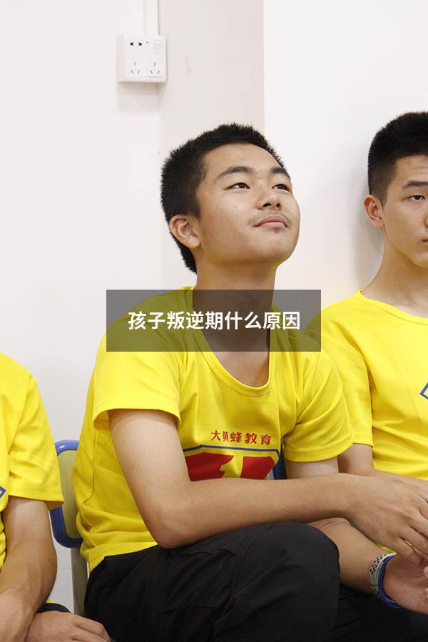孩子叛逆期什么原因