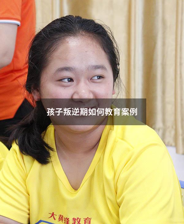 孩子叛逆期如何教育案例