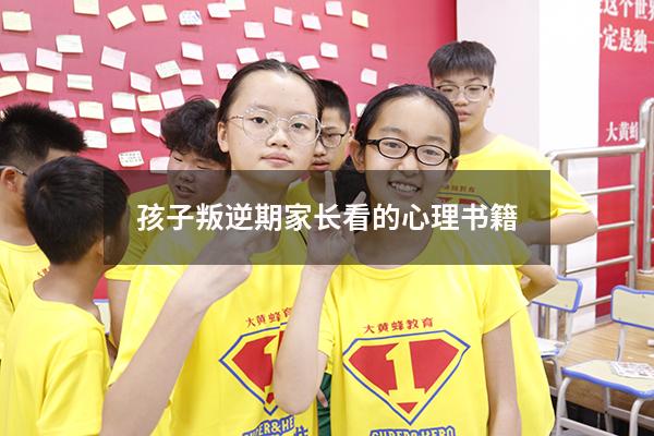 孩子叛逆期家长看的心理书籍