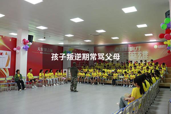 孩子叛逆期常骂父母