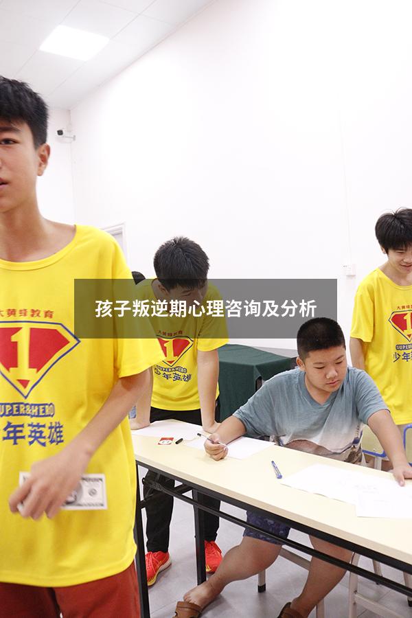 孩子叛逆期心理咨询及分析