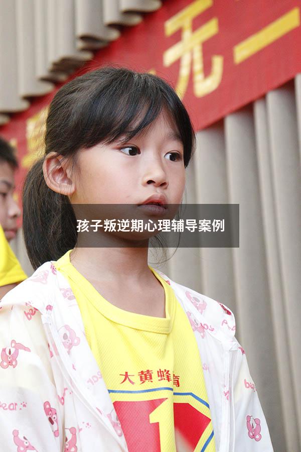孩子叛逆期心理辅导案例