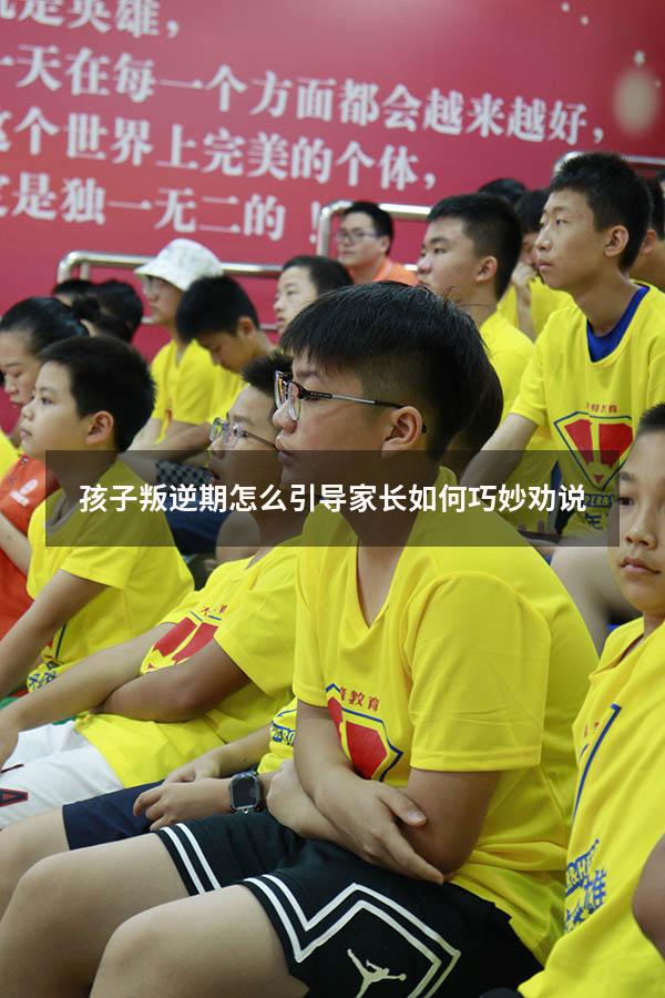 孩子叛逆期怎么引导家长如何巧妙劝说