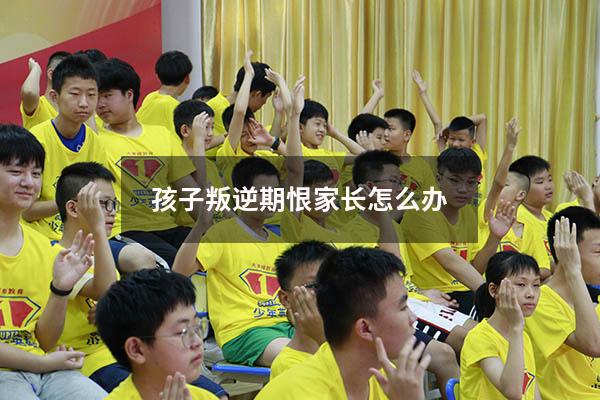 孩子叛逆期恨家长怎么办