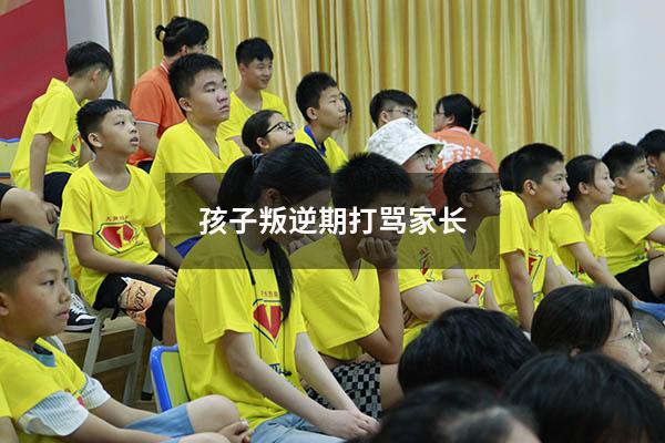 孩子叛逆期打骂家长