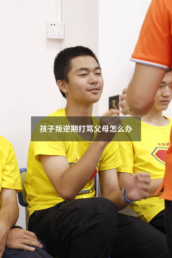 孩子叛逆期打骂父母怎么办