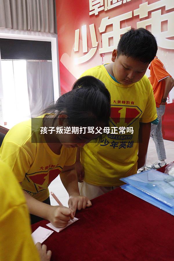 孩子叛逆期打骂父母正常吗（17岁叛逆打骂父母怎么办）