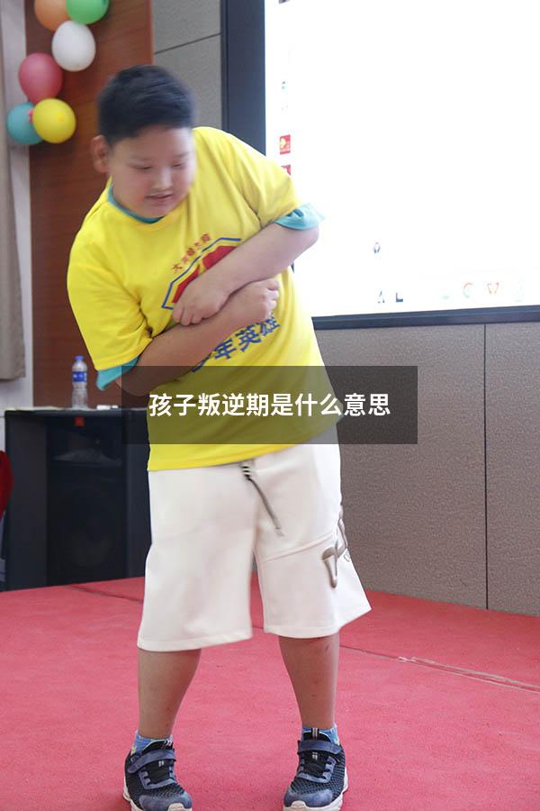 孩子叛逆期是什么意思