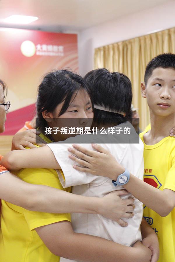 孩子叛逆期是什么样子的