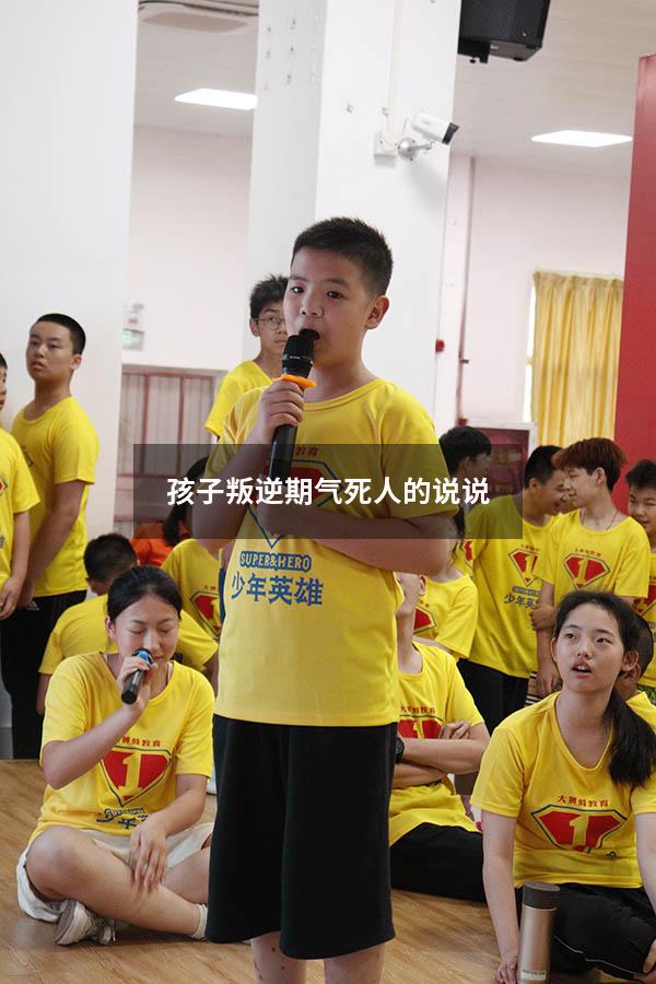 孩子叛逆期气死人的说说