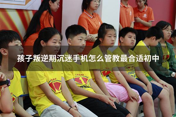 孩子叛逆期沉迷手机怎么管教最合适初中