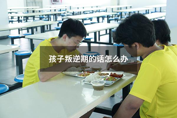 孩子叛逆期的话怎么办