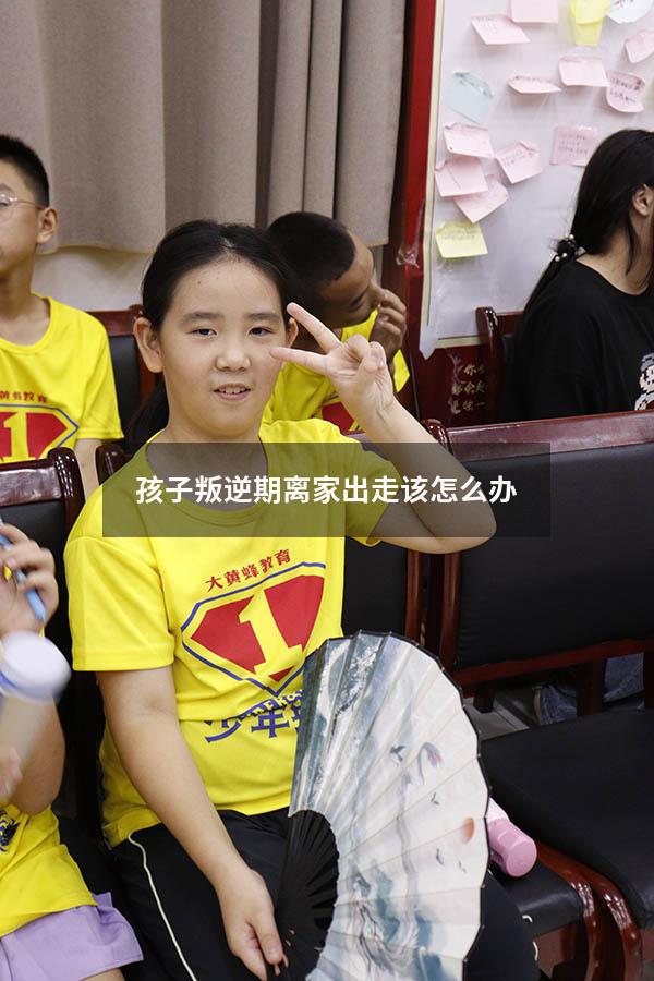 孩子叛逆期离家出走该怎么办