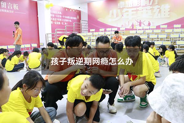 孩子叛逆期网瘾怎么办