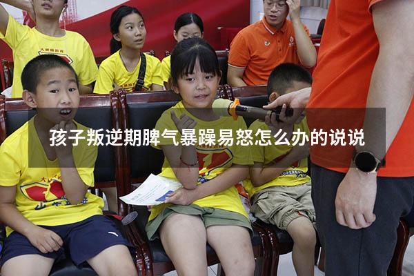 孩子叛逆期脾气暴躁易怒怎么办的说说