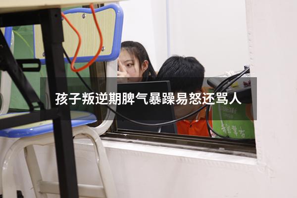 孩子叛逆期脾气暴躁易怒还骂人