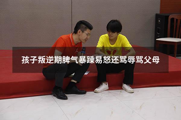 孩子叛逆期脾气暴躁易怒还骂辱骂父母（母亲暴躁易怒对孩子影响）