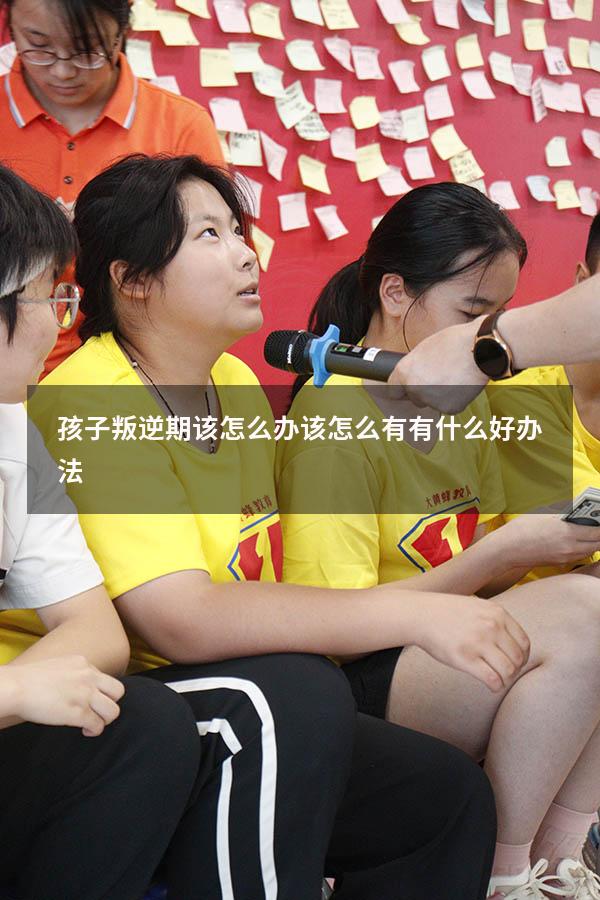 孩子叛逆期该怎么办该怎么有有什么好办法