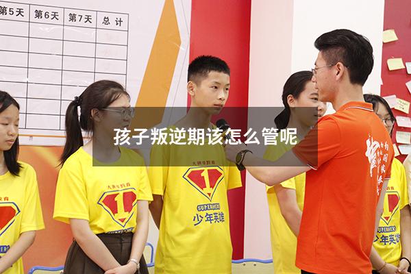 孩子叛逆期该怎么管呢