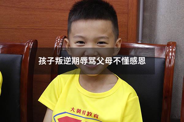 孩子叛逆期辱骂父母不懂感恩