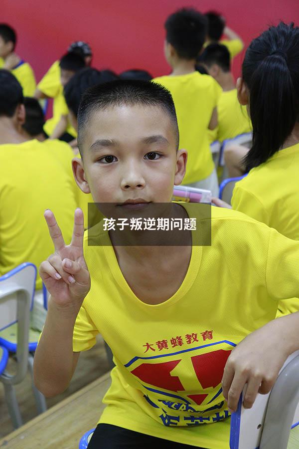孩子叛逆期问题