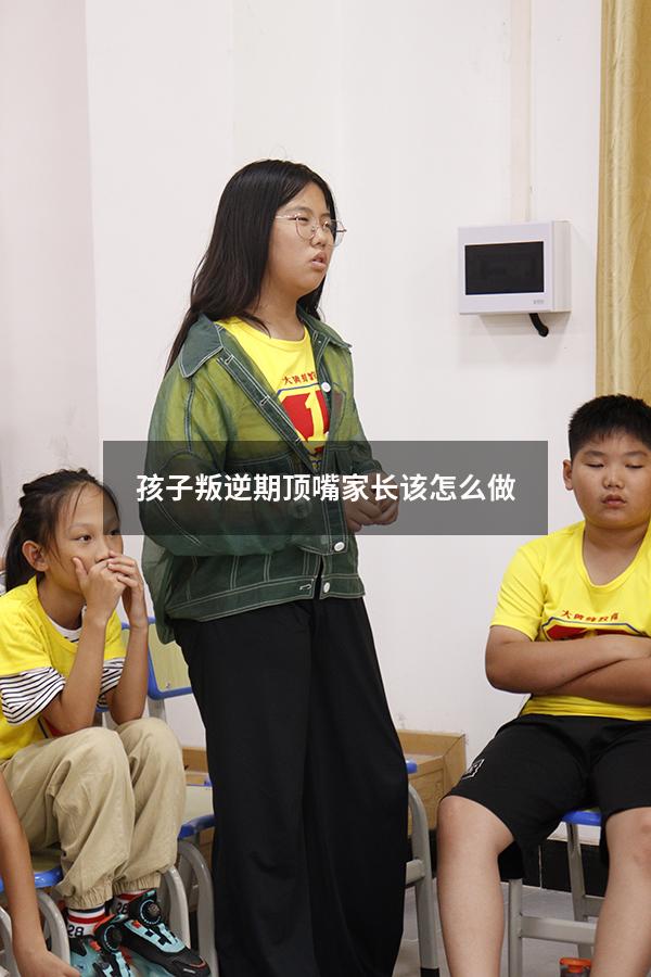 孩子叛逆期顶嘴家长该怎么做2064