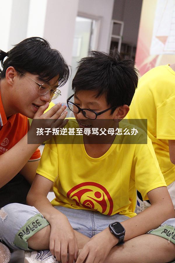 孩子叛逆甚至辱骂父母怎么办