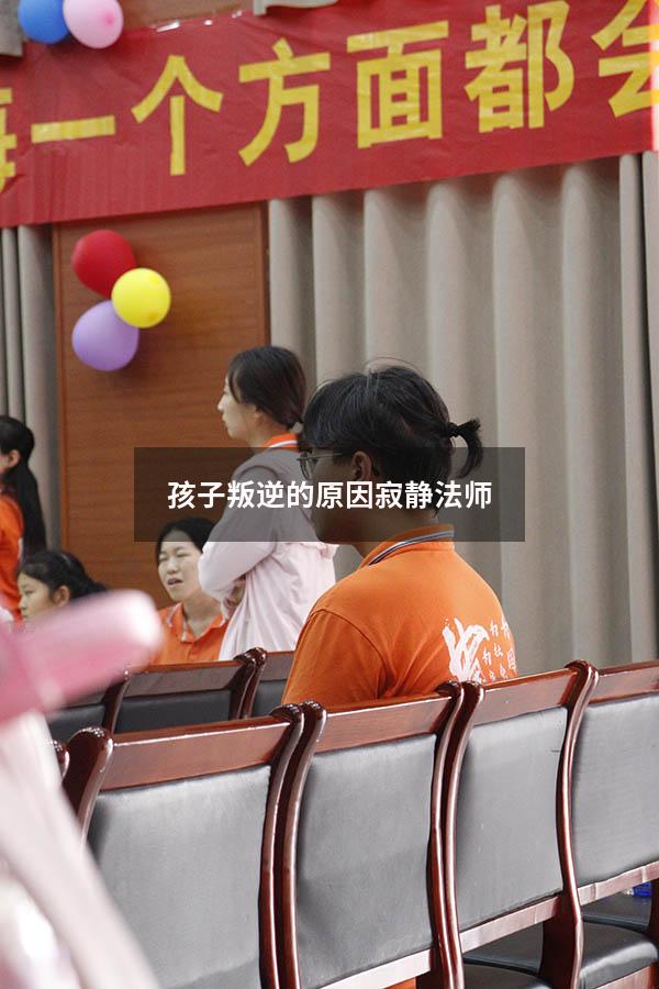 孩子叛逆的原因寂静法师