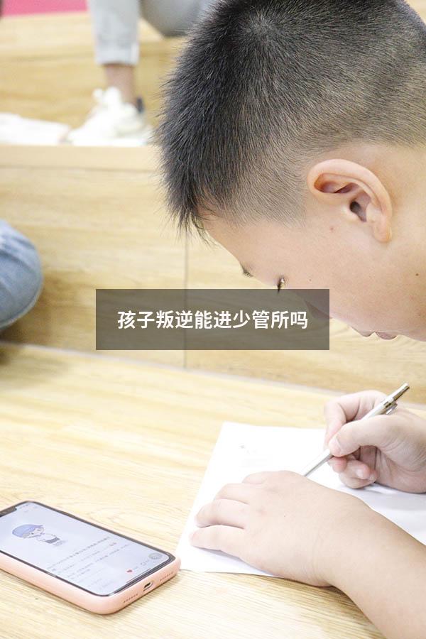 孩子叛逆能进少管所吗