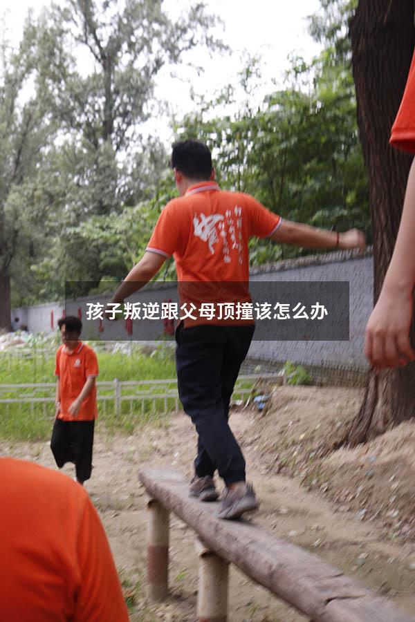 孩子叛逆跟父母顶撞该怎么办